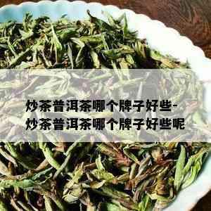 炒茶普洱茶哪个牌子好些-炒茶普洱茶哪个牌子好些呢