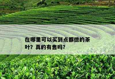 在哪里可以买到点都德的茶叶？真的有售吗？