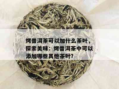 烤普洱茶可以加什么茶叶，探索美味：烤普洱茶中可以添加哪些其他茶叶？