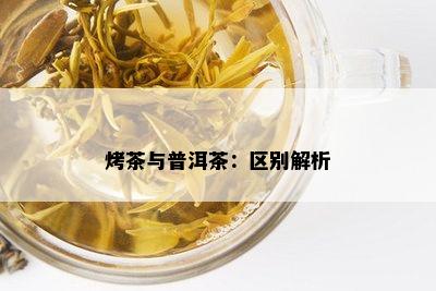 烤茶与普洱茶：区别解析