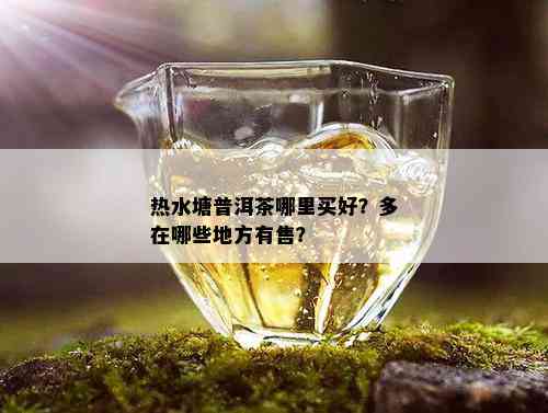 热水塘普洱茶哪里买好？多在哪些地方有售？