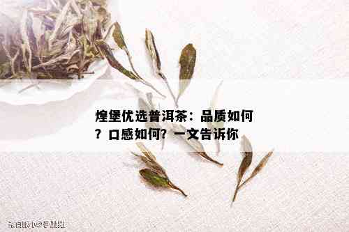 煌堡优选普洱茶：品质如何？口感如何？一文告诉你