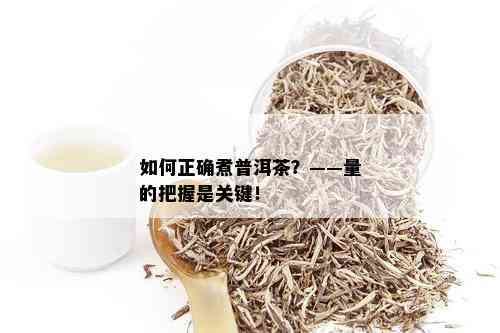 如何正确煮普洱茶？——量的把握是关键！