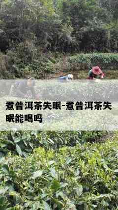 煮普洱茶失眠-煮普洱茶失眠能喝吗