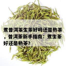 煮普洱茶生茶好吗还是熟茶，普洱茶新手指南：煮生茶好还是熟茶？