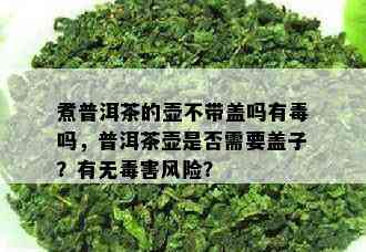 煮普洱茶的壶不带盖吗有吗，普洱茶壶是否需要盖子？有无害风险？