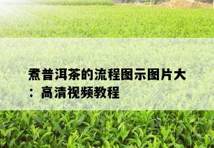 煮普洱茶的流程图示图片大：高清视频教程