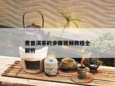 煮普洱茶的步骤视频教程全解析