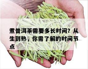 煮普洱茶需要多长时间？从生到熟，你需了解的时间节点