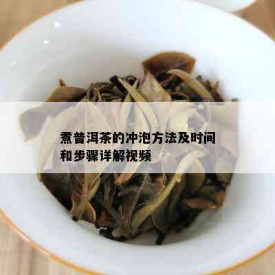 煮普洱茶的冲泡方法及时间和步骤详解视频