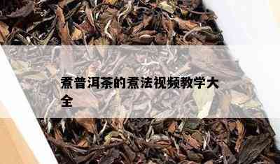 煮普洱茶的煮法视频教学大全