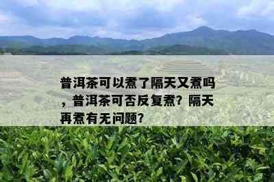 普洱茶可以煮了隔天又煮吗，普洱茶可否反复煮？隔天再煮有无问题？