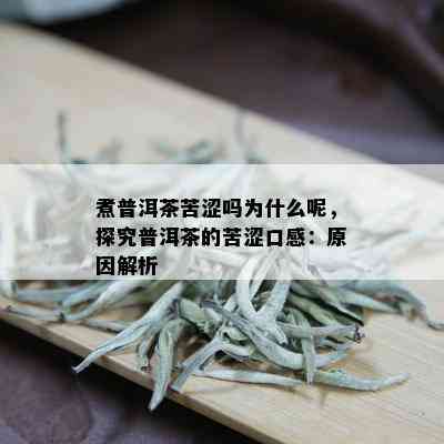 煮普洱茶苦涩吗为什么呢，探究普洱茶的苦涩口感：原因解析