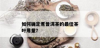 如何确定煮普洱茶的更佳茶叶用量？