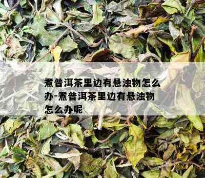 煮普洱茶里边有悬浊物怎么办-煮普洱茶里边有悬浊物怎么办呢