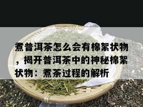 煮普洱茶怎么会有棉絮状物，揭开普洱茶中的神秘棉絮状物：煮茶过程的解析