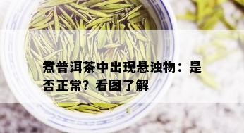 煮普洱茶中出现悬浊物：是否正常？看图了解