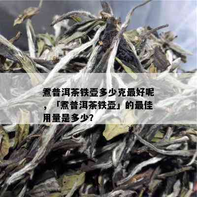 煮普洱茶铁壶多少克更好呢，「煮普洱茶铁壶」的更佳用量是多少？