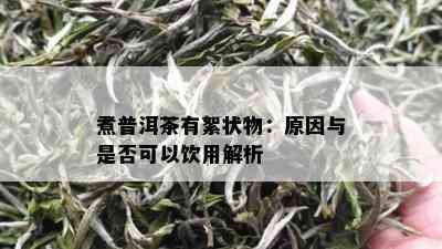 煮普洱茶有絮状物：原因与是否可以饮用解析