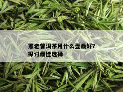 煮老普洱茶用什么壶更好？探讨更佳选择