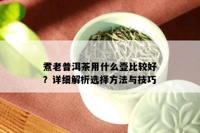 煮老普洱茶用什么壶比较好？详细解析选择方法与技巧