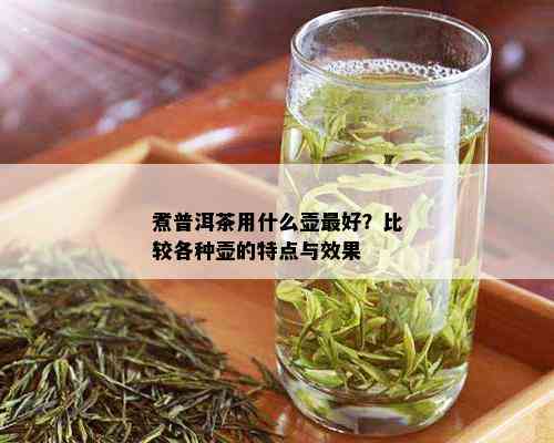 煮普洱茶用什么壶更好？比较各种壶的特点与效果