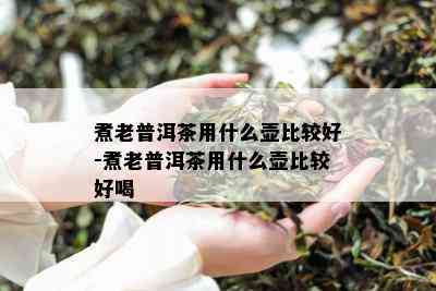 煮老普洱茶用什么壶比较好-煮老普洱茶用什么壶比较好喝