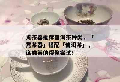 煮茶器推荐普洱茶种类，「煮茶器」搭配「普洱茶」，这类茶值得你尝试！