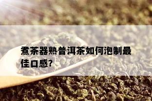 煮茶器熟普洱茶如何泡制更佳口感？