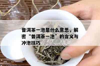 普洱茶一泡是什么意思，解密“普洱茶一泡”的含义与冲泡技巧