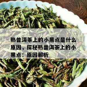 熟普洱茶上的小黑点是什么原因，探秘熟普洱茶上的小黑点：原因解析