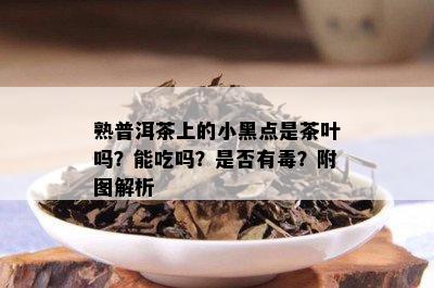 熟普洱茶上的小黑点是茶叶吗？能吃吗？是否有？附图解析