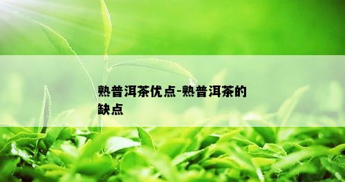 熟普洱茶优点-熟普洱茶的缺点