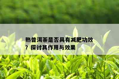 熟普洱茶是否具有减肥功效？探讨其作用与效果