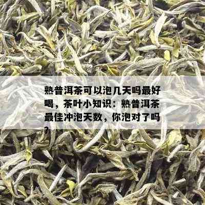 熟普洱茶可以泡几天吗更好喝，茶叶小知识：熟普洱茶更佳冲泡天数，你泡对了吗？