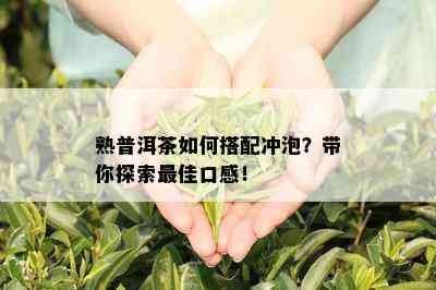 熟普洱茶如何搭配冲泡？带你探索更佳口感！