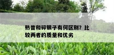 熟普和碎银子有何区别？比较两者的质量和优劣