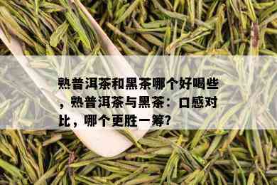 熟普洱茶和黑茶哪个好喝些，熟普洱茶与黑茶：口感对比，哪个更胜一筹？