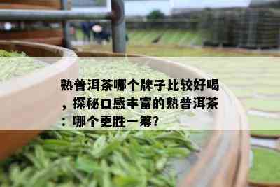 熟普洱茶哪个牌子比较好喝，探秘口感丰富的熟普洱茶：哪个更胜一筹？