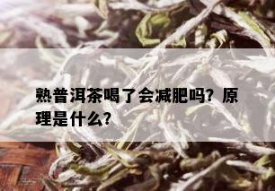 熟普洱茶喝了会减肥吗？原理是什么？