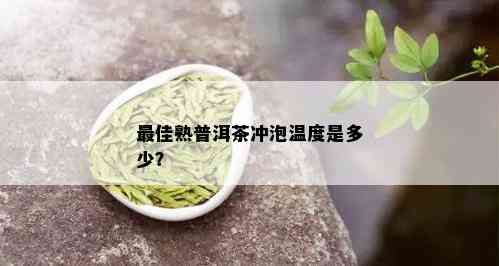 更佳熟普洱茶冲泡温度是多少？