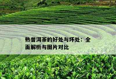 熟普洱茶的好处与坏处：全面解析与图片对比