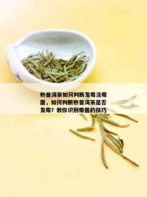 熟普洱茶如何判断发霉没霉菌，如何判断熟普洱茶是否发霉？教你识别霉菌的技巧