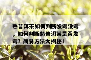 熟普洱茶如何判断发霉没霉，如何判断熟普洱茶是否发霉？简易方法大揭秘！