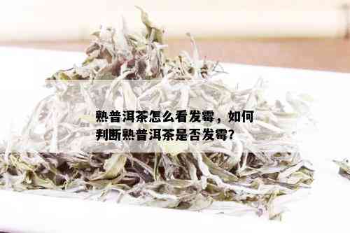 熟普洱茶怎么看发霉，如何判断熟普洱茶是否发霉？