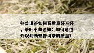 熟普洱茶如何看质量好不好，茶叶小白必知：如何通过外观判断熟普洱茶的质量？