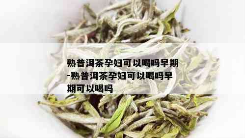 熟普洱茶孕妇可以喝吗早期-熟普洱茶孕妇可以喝吗早期可以喝吗