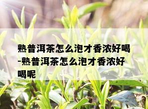 熟普洱茶怎么泡才香浓好喝-熟普洱茶怎么泡才香浓好喝呢