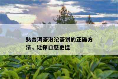 熟普洱茶泡沱茶饼的正确方法，让你口感更佳