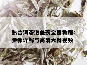 熟普洱茶泡盖碗全图教程：步骤详解与高清大图视频